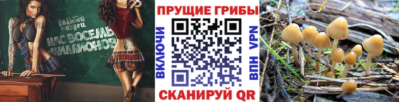 Галлюциногенные грибы GOLDEN TEACHER  Купить  Чусовой 